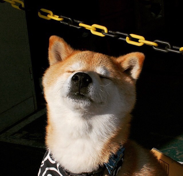 “马科斯·莫奇的防守反击能力，助力阿根廷美洲狮队提升战术深度”