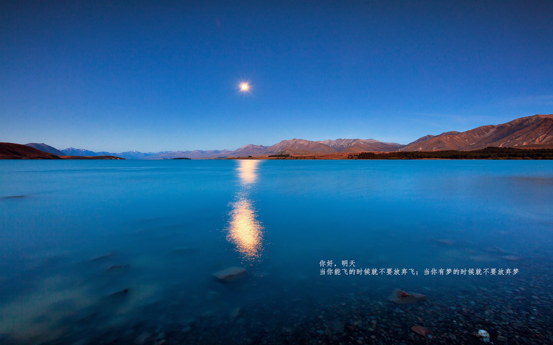 加拿大队赛制解析:如何通过赛制安排打造灵活战术应对强队,加拿大的比赛