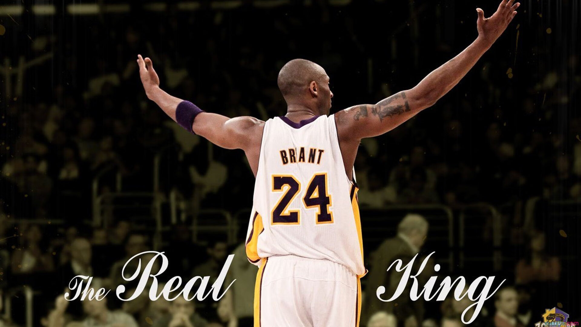 技术动作稳定，发挥较为可靠，技术动作形成的规律一般分为